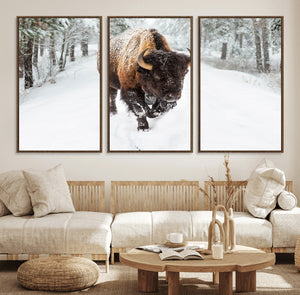 Bison Wall Art Canvas Print For Farmhouse, Animal Canvas