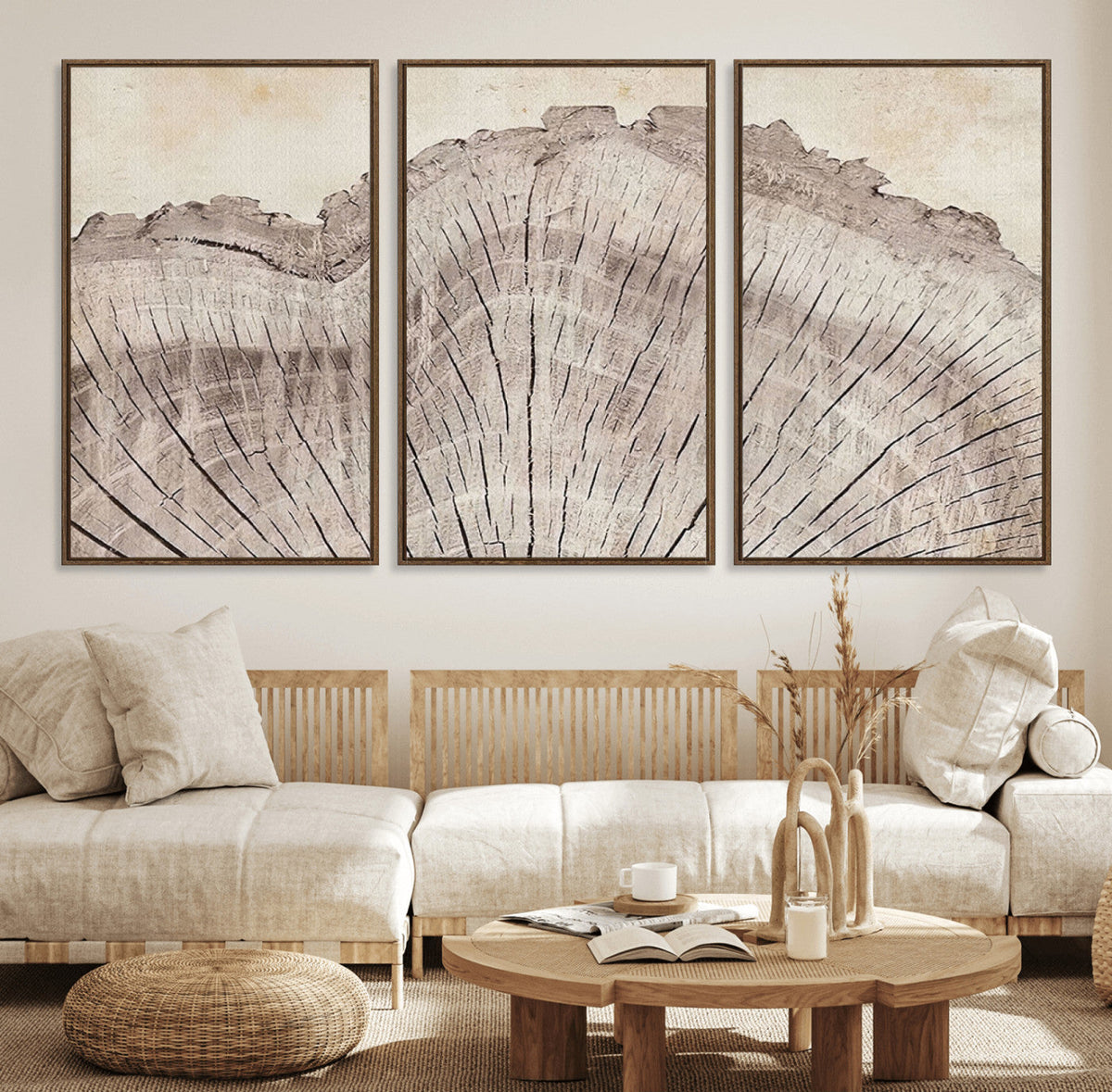 Tree Ring Wall Art Triptych, Rustic Wood Ring Canvas Print,