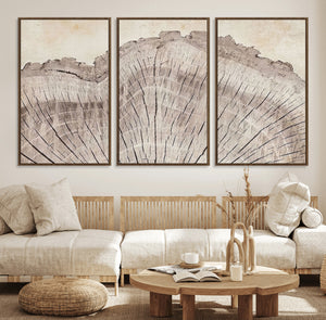 Tree Ring Wall Art Triptych, Rustic Wood Ring Canvas Print,