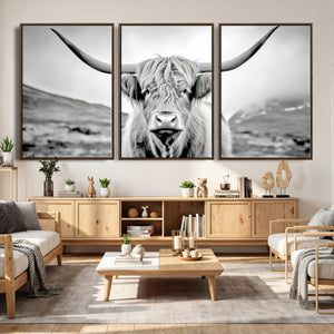 Scottish Cow Wall Art Canvas Print