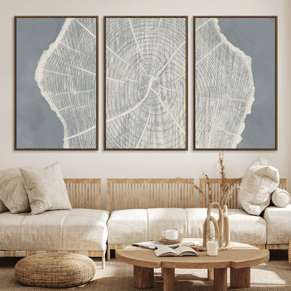 Abstract Tree Ring Wall Art Canvas Print – Nature-Inspired,