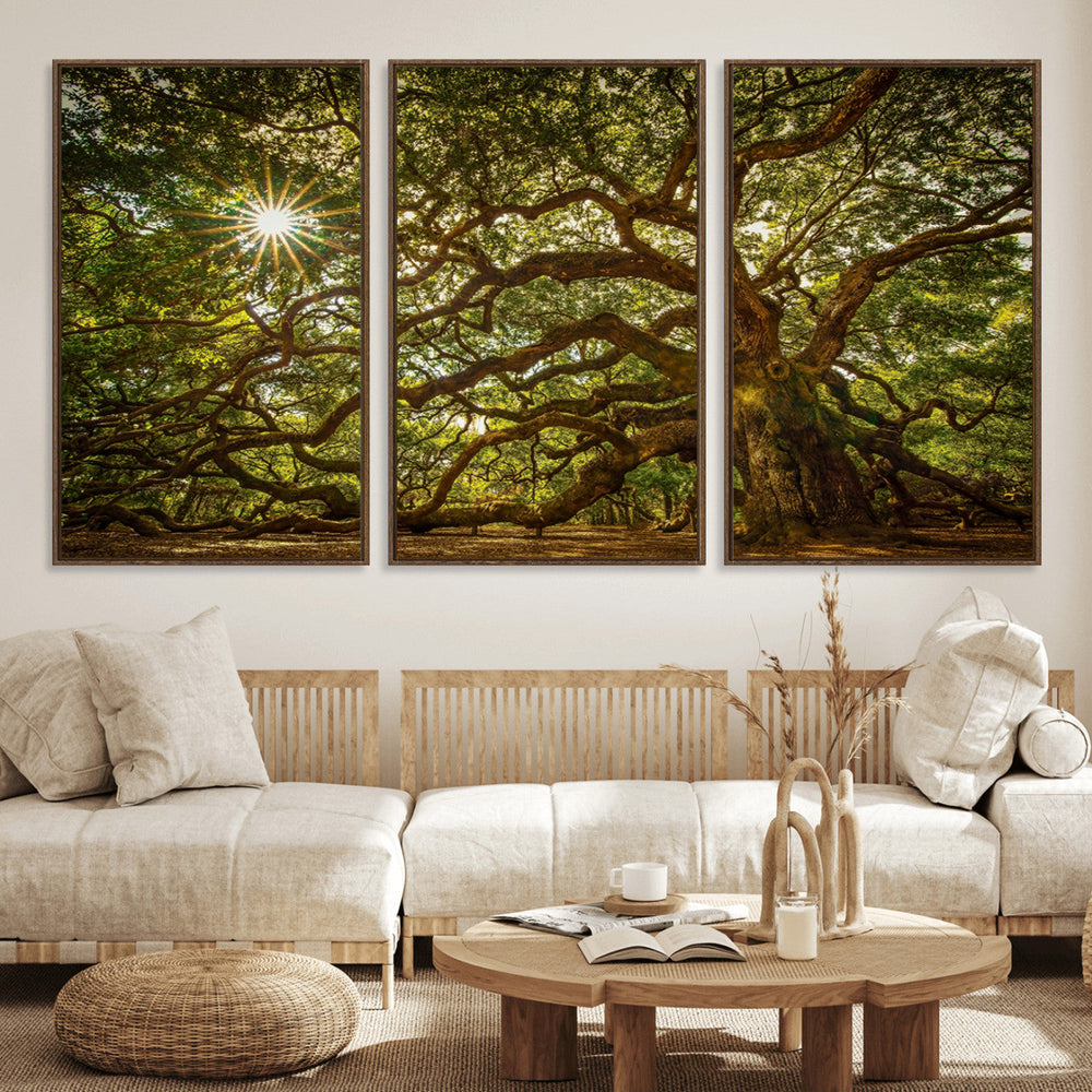 Ancient Angel Oak Tree Art Sunburst Canvas Print-