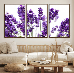 Lavender Flower Wall Art Canvas Print