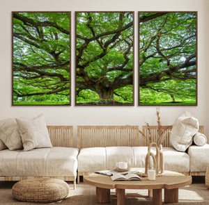 Angel Oak Tree Wall Art Canvas Print – Framed Majestic
