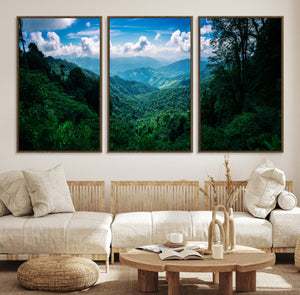 Tropical Jungle Wall Art Canvas Print – Framed Lush Valley