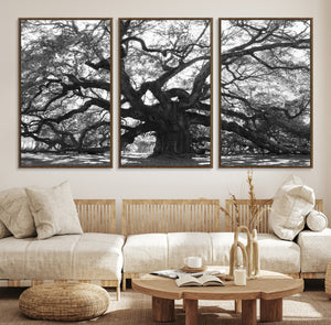 Ancient Oak Wall Art Canvas Print, Majestic Twisted Branches