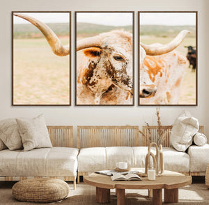 Texas Longhorn Wall Art Canvas Print – Framed Spotted Cow
