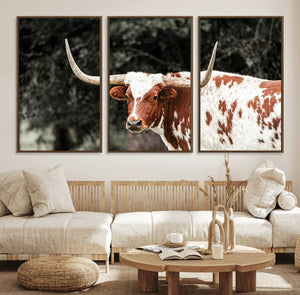 Texas Longhorn Wall Art Canvas Print – Framed Spotted Bull
