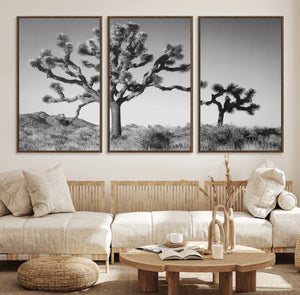 Joshua Tree Wall Art Canvas Print – Framed Monochrome Desert