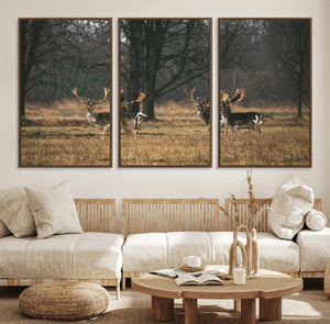 Deer Wall Art Canvas Print – Framed Rustic Wildlife Stags