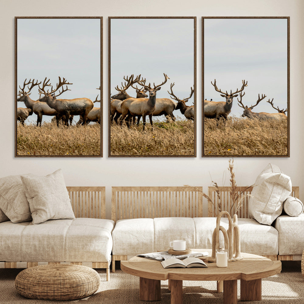Elk Herd Wall Art Canvas Print – Framed Wildlife Photography