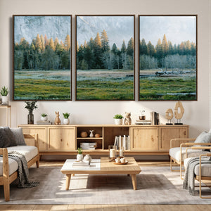 Forest Meadow Wall Art Canvas Print, Pine Tree Landscape