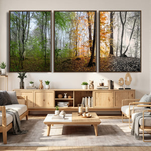 Four Seasons Wall Art Forest Canvas Print – Triptych