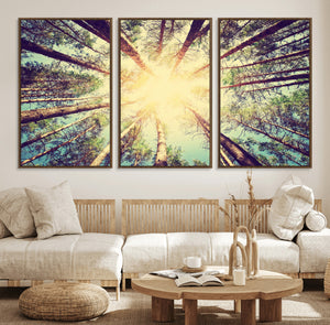 Tree and Sunshine Canvas Print