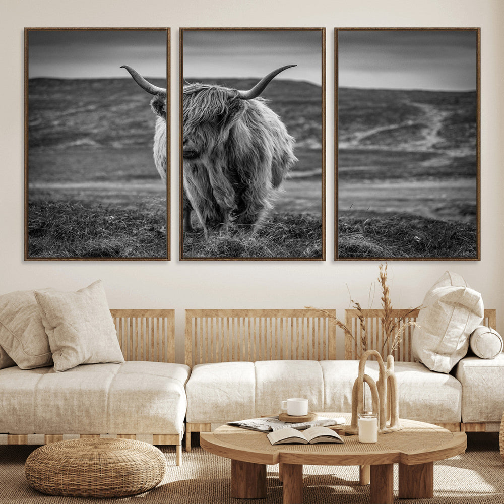 Fluffy Cattle Wall Art Print, Highland Cow Canvas, Framed