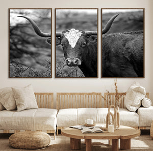 Western Home Wall Art Canvas Print, Framed Texas Longhorn