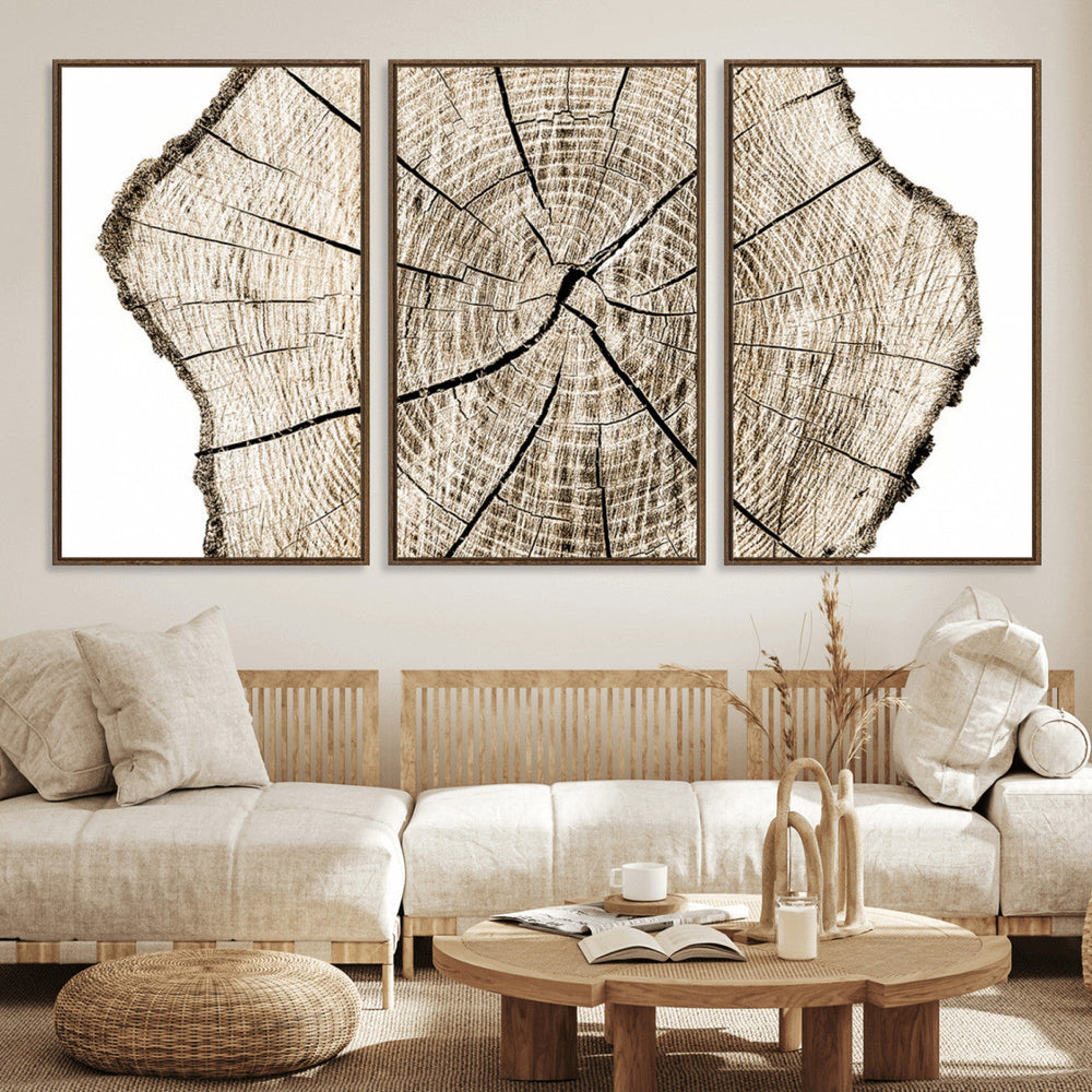 Abstract Wood Tree Ring Wall Art - Ready to Hang Minimalist