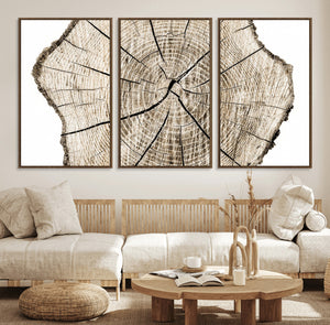 Abstract Wood Tree Ring Wall Art - Ready to Hang Minimalist