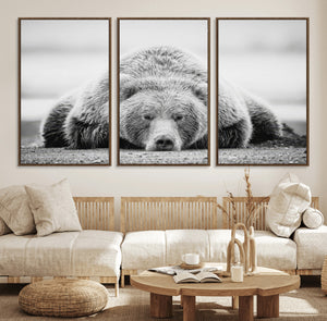 Resting Grizzly Bear Wall Art Canvas Print – Majestic Lazy