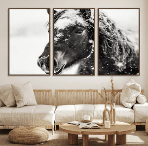 Framed Black and White Horse Wall Art | Ready to Hang and