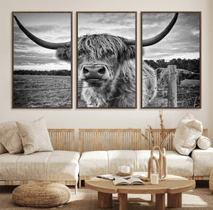 Scottish Highland Cow Wall Art Canvas Print | Ready to Hang