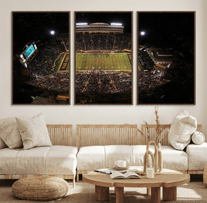 Wake Forest University Demon Deacons Canvas Printi, Football
