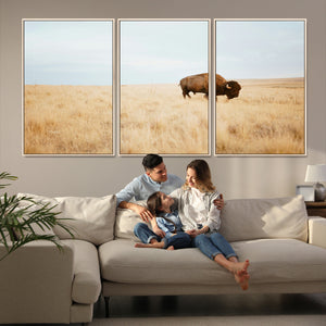 Buffalo Wall Art Canvas Print – Framed Western Wildlife