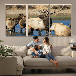 Wild Elk Wall Art Canvas Print – Framed Neutral Wildlife