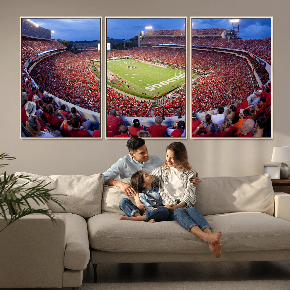 Dooley Stadium Wall Art, Sports Arena Canvas Print, Dooley