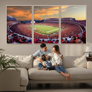 Dooley Stadium Wall Art, Sports Arena Canvas Print, Dooley