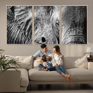 Wild Old Elephant Wall Art Canvas Print