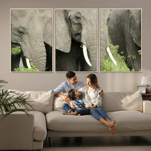 Wild Elephant Wall Art Canvas Print