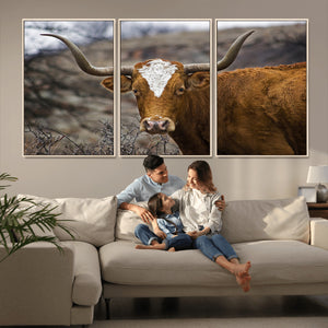 Texas Longhorn Canvas Wall Art - Longhorn Steer Canvas Wall
