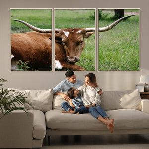 Longhorn Steer Canvas Wall Art – Rustic Nature Triptych