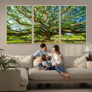 Majestic Oak Tree Wall Art – Serene Nature Canvas Print with