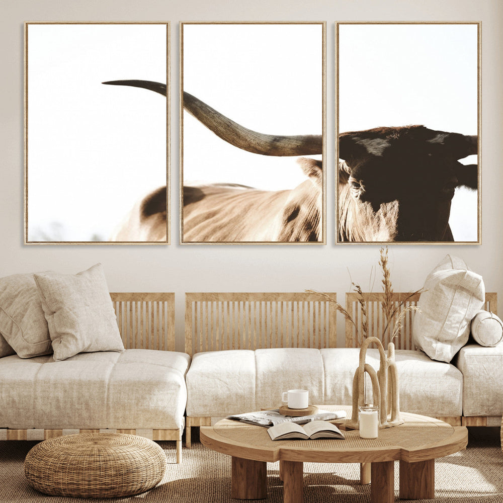 Texas Longhorn Wall Art Canvas Print | 3-Panel Large