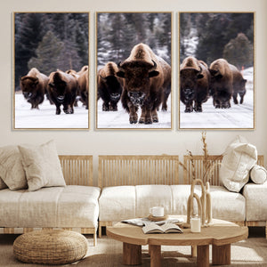 Bison Wall Art Canvas Print- Bison Herd Canvas Wall Art –