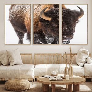 Bison Wall Art Canvas Print For Farmhouse, Wild Animal Wall
