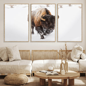 Bison Winter Wall Art Canvas Print For Farmhouse Decor