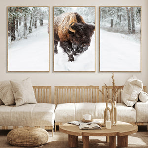 Bison Wall Art Canvas Print For Farmhouse, Animal Canvas