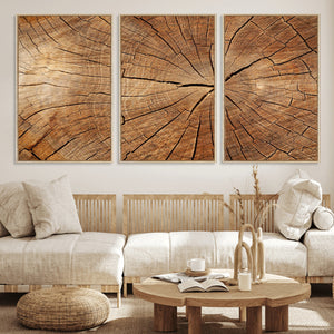 Tree Ring Canvas Art, Rustic Wood Grain Wall Art, Tree Slice