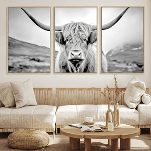 Scottish Cow Wall Art Canvas Print