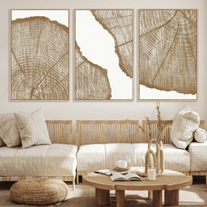 Rustic Brown Tree Ring Wall Art Canvas Print – Framed and