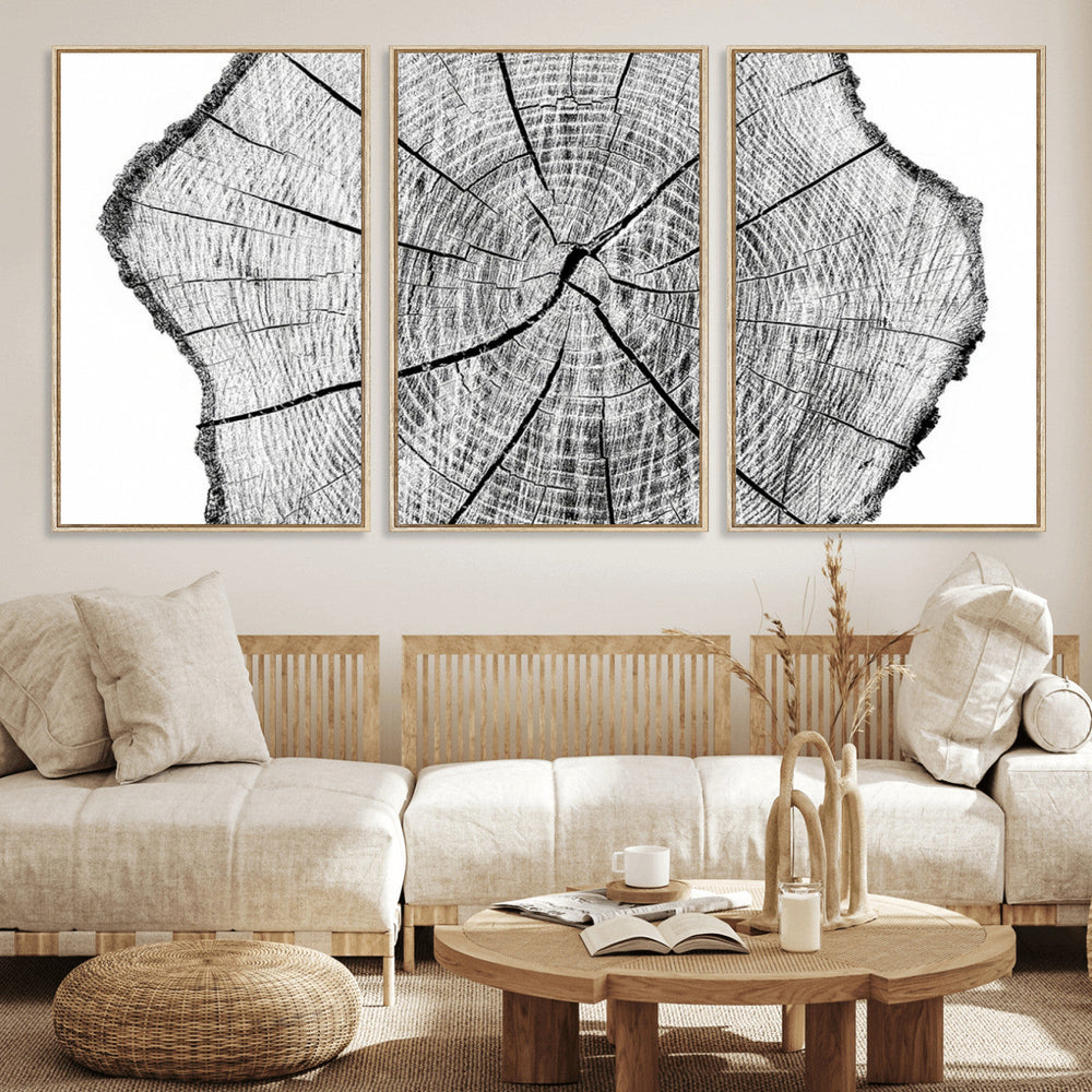 Rustic Tree Ring Wall Art Canvas Print – Framed and Ready to