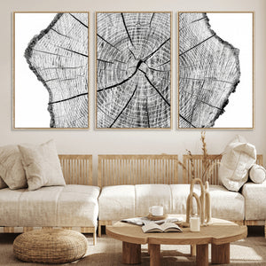 Rustic Tree Ring Wall Art Canvas Print – Framed and Ready to