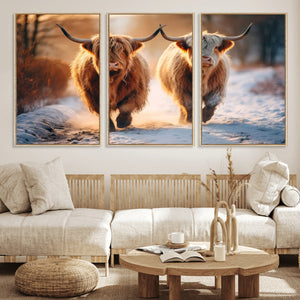 Scottish Highland Cow Horn Farm Wall Art Canvas Print