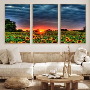 Golden Sunflower Field at Sunset – Breathtaking Sky and