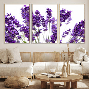 Lavender Flower Wall Art Canvas Print