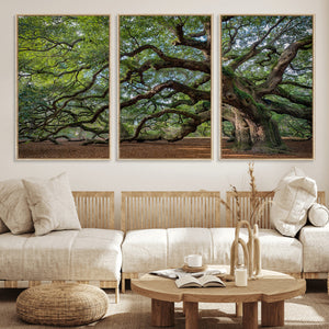 Historic Tree Wall Art – Framed Mossy Branch Canvas Artwork,
