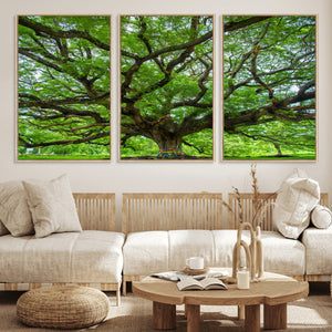 Oak Tree Wall Art Print, Forest Canvas Wall Art for Home and